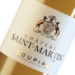 Château Saint Martin
