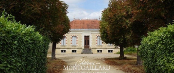 Chateau Montgaillard - François Chollet