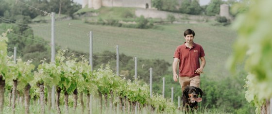 graves du tich cadillac