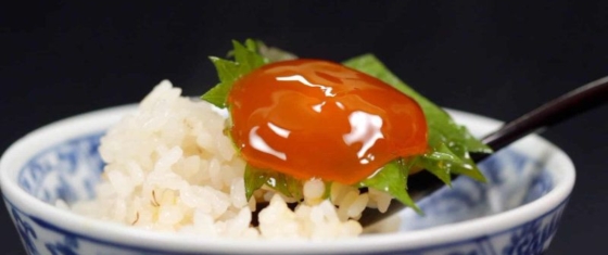 Jaune D'oeuf Miso