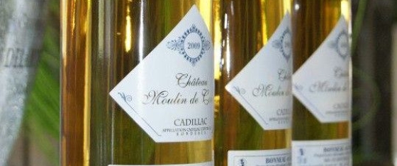 À la découverte du Château