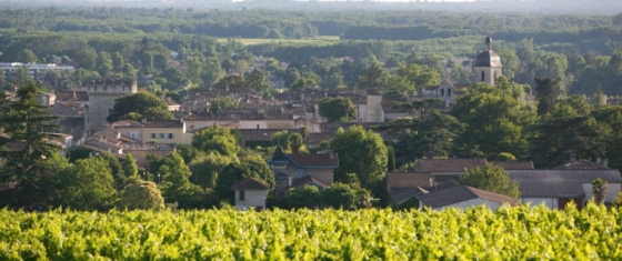 patrimoine-maisondesvins05