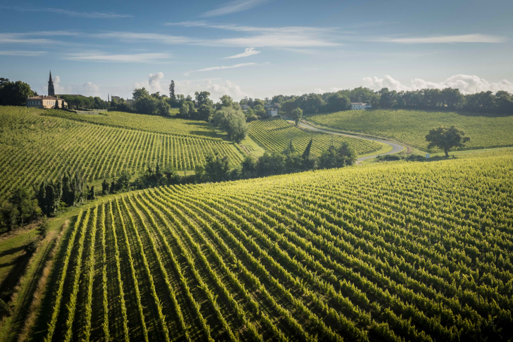 Visite château viticole Bordeaux