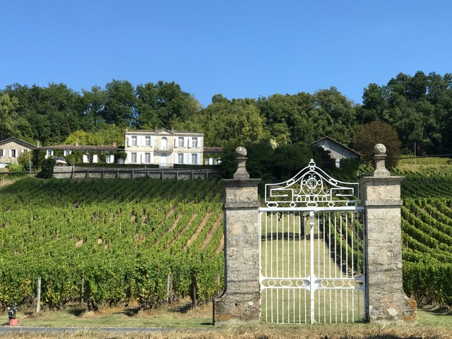Dégustation vin Bordeaux