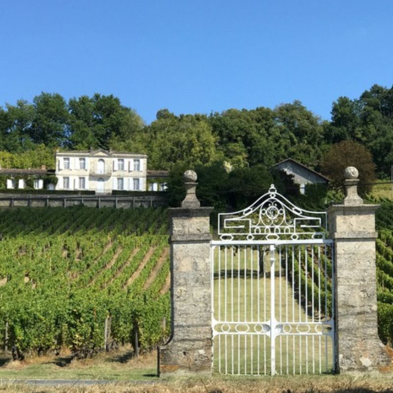 Vignoble à visiter Bordeaux