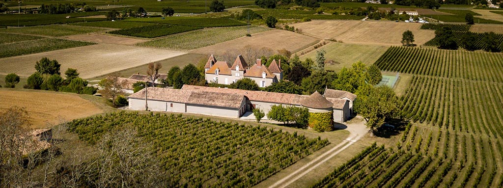 Visite vignoble Bordeaux