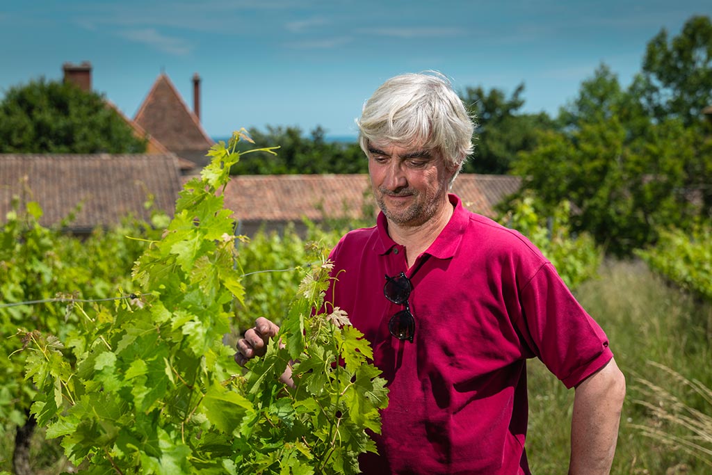 Vignoble à visiter Bordeaux