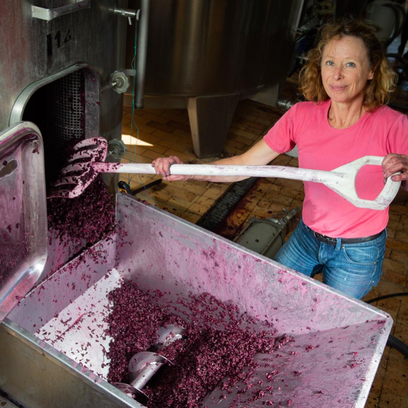 Voyage au cœur du terroir