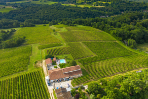 Domaine de Saint Amand