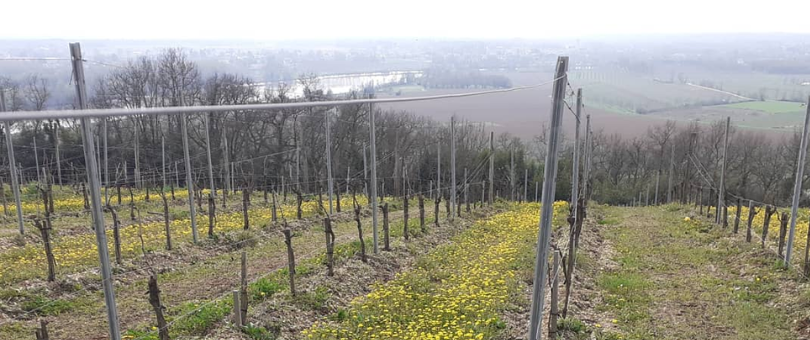 chateau le sens